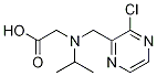  化學(xué)構(gòu)造式