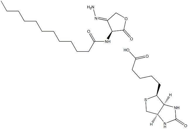 N-dodecanoyl-L-Homoserine lactone-3-hydrazone-biotin Struktur