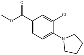 3-氯-4-(1-吡咯烷基)苯甲酸甲酯, 1375064-50-8, 結(jié)構(gòu)式