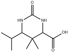 6-ISOPROPYL-5,5-DIMETHYL-2-OXOHEXAHYDROPYRIMIDINE-4-CARBOXYLIC ACID Struktur