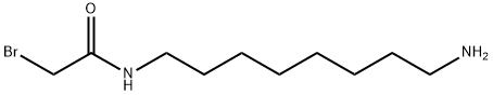 N-(8-Aminooctyl)-2-bromoacetamide Struktur