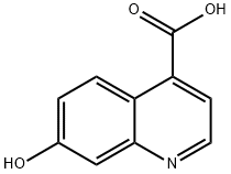 7-羥基喹啉-4-羧酸 結(jié)構(gòu)式