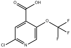2-chloro-5-(trifluoroMethoxy)isonicotinic acid|2-氯-5-三氟甲氧基異煙酸