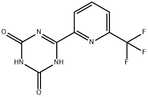 6-(6-(trifluoromethyl)pyridin-2-yl)-1,3,5-triazine-2,4(1H,3H)-dione|6-(6-(三氟甲基)吡啶-2-基)-1,3,5-三嗪-2,4(1H,3H)-二酮