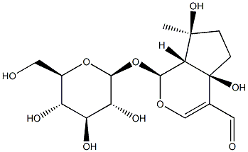 EUPHROSIDE Struktur