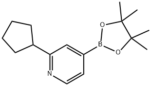 2-cyclopentyl-4-(4,4,5,5-tetraMethyl-1,3,2-dioxaborolan-2-yl)pyridine Struktur