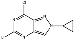 5,7-DICHLORO-2-CYCLOPROPYLPYRAZOLO[4,3-D]PYRIMIDINE, 1630906-84-1, 結(jié)構(gòu)式