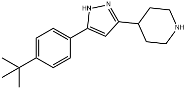 4-[5-(4-tert-Butyl-phenyl)-1H-pyrazol-3-yl]-piperidine Structure