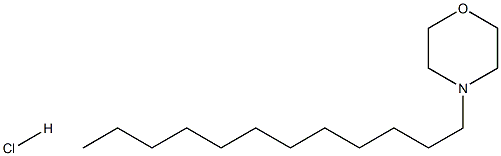 Morpholine, 4-dodecyl-, hydrochloride Struktur