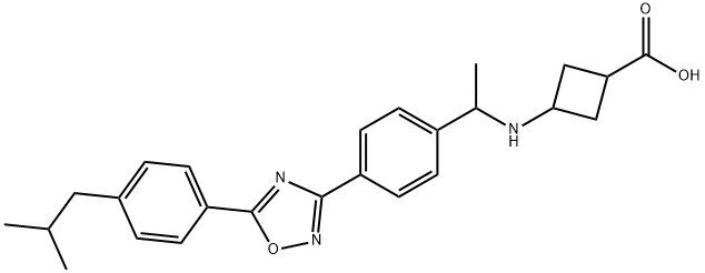 Cyclobutanecarboxylic acid, 3-[[1-[4-[5-[4-(2-methylpropyl)phenyl]-1,2,4-oxadiazol-3-yl]phenyl]ethyl]amino]-|1149727-61-6