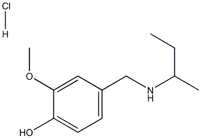 4-{[(butan-2-yl)amino]methyl}-2-methoxyphenol hydrochloride|4-{[(butan-2-yl)amino]methyl}-2-methoxyphenol hydrochloride