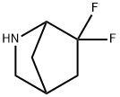 6,6-Difluoro-2-aza-bicyclo[2.2.1]heptane|6,6-Difluoro-2-aza-bicyclo[2.2.1]heptane