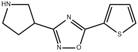 3-(pyrrolidin-3-yl)-5-(thiophen-2-yl)-1,2,4-oxadiazole Struktur