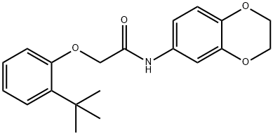2-(2-tert-butylphenoxy)-N-(2,3-dihydro-1,4-benzodioxin-6-yl)acetamide Struktur