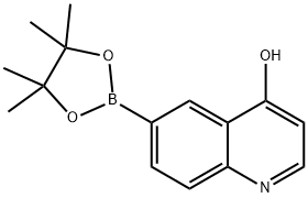 6-(4,4,5,5-tetramethyl-1,3,2-dioxaborolan-2-yl)quinolin-4-ol Struktur