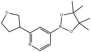 2-(tetrahydrofuran-3-yl)-4-(4,4,5,5-tetramethyl-1,3,2-dioxaborolan-2-yl)pyridine Struktur