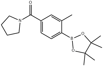 1-[[3-Methyl-4-(tetramethyl-1,3,2-dioxaborolan-2-yl)phenyl]carbonyl]pyrrolidine Struktur