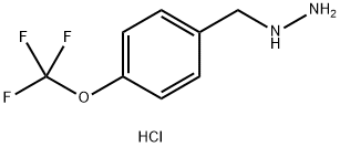 (4-(Trifluoromethoxy)benzyl)hydrazine dihydrochloride Struktur