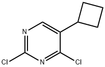 2,4-dichloro-5-cyclobutylpyrimidine|2,4-二氯-5-環(huán)丁基嘧啶