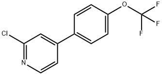 2-Chloro-4-(4-trifluoromethoxyphenyl)pyridine Struktur