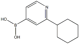 (2-cyclohexylpyridin-4-yl)boronic acid Struktur