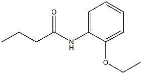 N-(2-ethoxyphenyl)butanamide Struktur