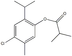 4-chloro-2-isopropyl-5-methylphenyl 2-methylpropanoate Struktur