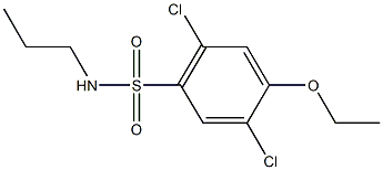 2,5-dichloro-4-ethoxy-N-propylbenzenesulfonamide Struktur