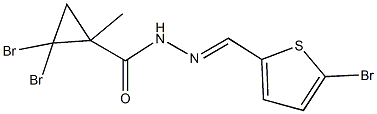 2,2-dibromo-N'-[(5-bromo-2-thienyl)methylene]-1-methylcyclopropanecarbohydrazide Struktur