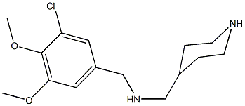  化學(xué)構(gòu)造式