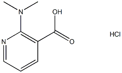 2-(dimethylamino)pyridine-3-carboxylic acid hydrochloride Struktur