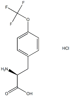 (2S)-2-amino-3-[4-(trifluoromethoxy)phenyl]propanoic acid hydrochloride