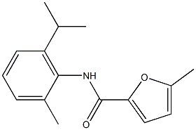 5-methyl-N-(2-methyl-6-propan-2-ylphenyl)furan-2-carboxamide Structure