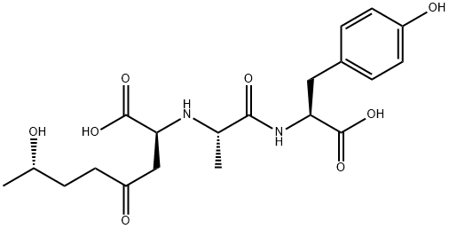 WF 10129 Structure