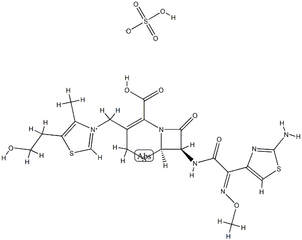 CS 461 Structure