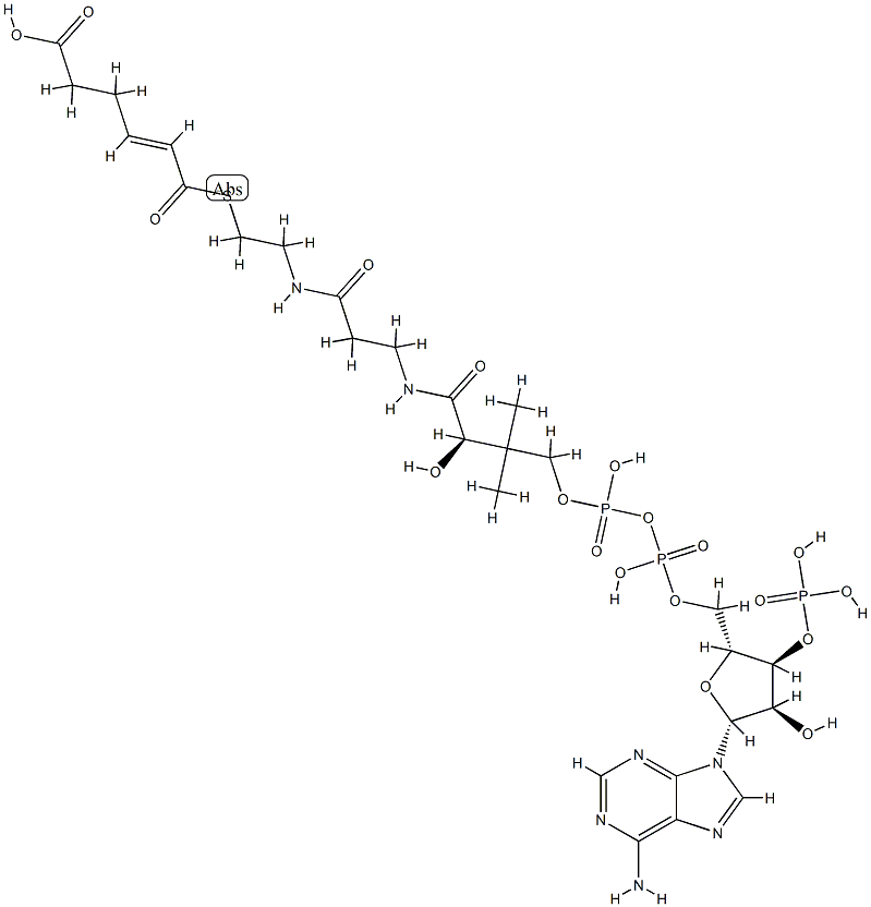 5-Carboxy-2-pentenoyl-CoA Struktur
