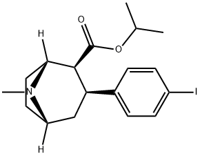 RTI 121 Struktur