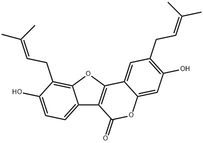 sigmoidin K Struktur