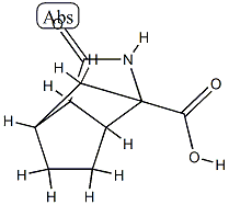 1,4-Methanocyclopenta[c]pyrrole-1(2H)-carboxylicacid,hexahydro-3-oxo-(9CI) Struktur