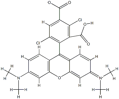 1,4-dichloro 5-CarboxytetraMethylrhodaMine Struktur