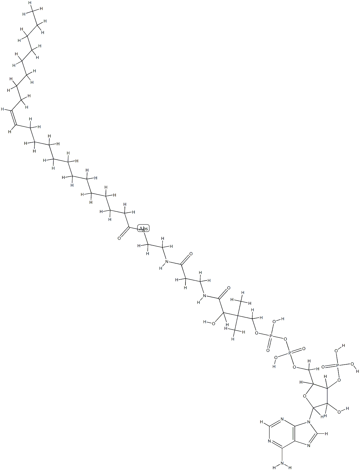 ERUCOYL COENZYME A (C22:1) FREE*ACID 85- 90 Struktur