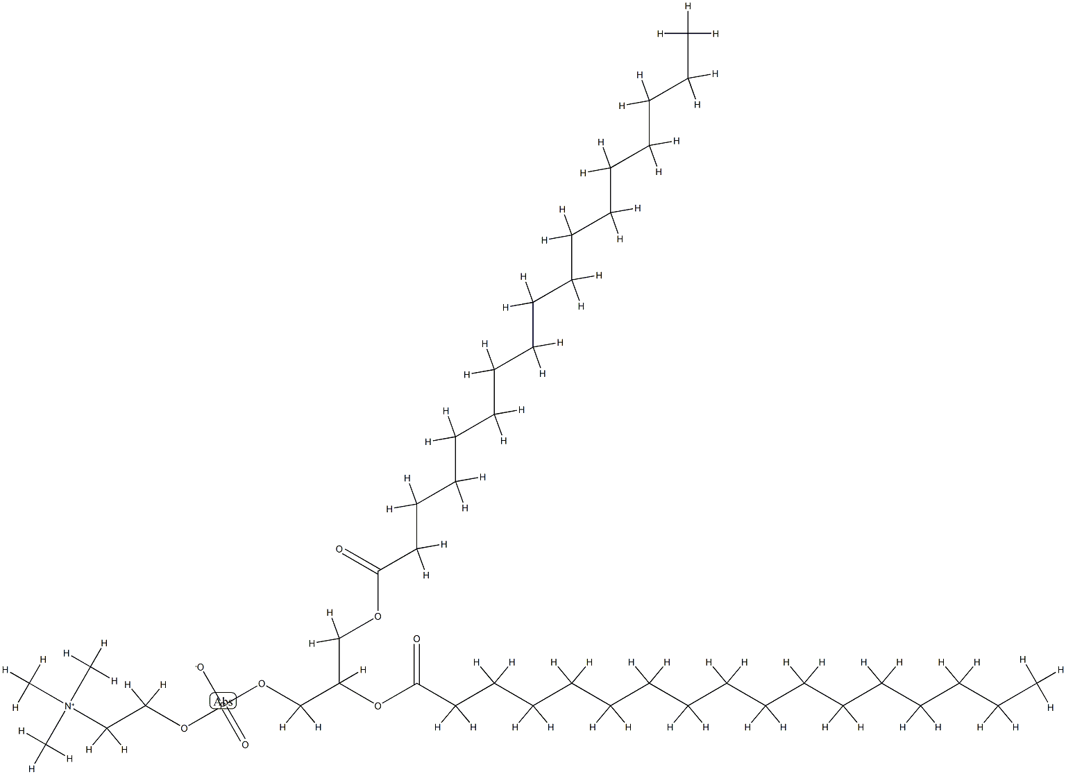 1,2-heptadecanoylphosphatidylcholine Struktur