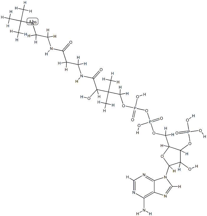 Coenzyme A, S-butyl-(9CI) Struktur