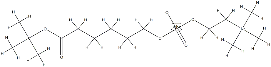 tert-Butyl 6-(O-Phosphorylcholine)hydroxyhexanoate Struktur