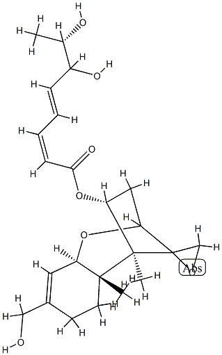 16-??????????????A