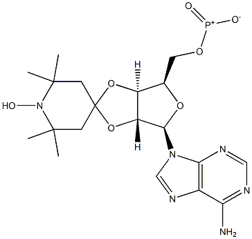 2',3'-O-(1-oxy-2,2,6,6-tetramethyl-4-piperidylidene)adenosine 5'-triphosphate Struktur