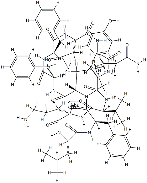 Tyrocidine Struktur