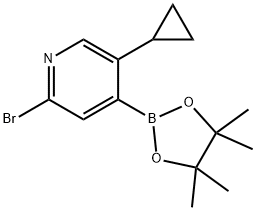 2-Bromo-5-cyclopropylpyridine-4-boronic acid pinacol ester Struktur