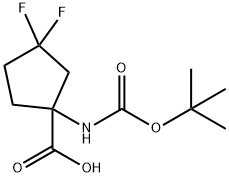 1-{[(tert-butoxy)carbonyl]amino}-3,3-difluorocyclopentane-1-carboxylic acid|1-{[(tert-butoxy)carbonyl]amino}-3,3-difluorocyclopentane-1-carboxylic acid