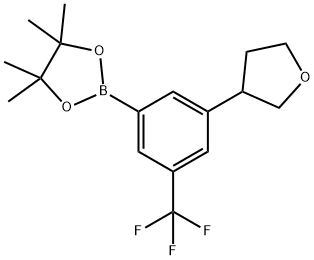 3-(3-tetrahydrofuranyl)-5-trifluoromethylphenylboronic acid pinacol ester Struktur